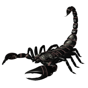 Scorpion PNG-12138